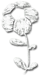 G4G_coverflower